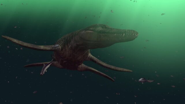 4k 12 sec 3d animation of a Kronosaurus swimming among a school of fish in a prehistoric ocean. Realistic depiction of marine reptiles swimming through a school of fish in ancient waters