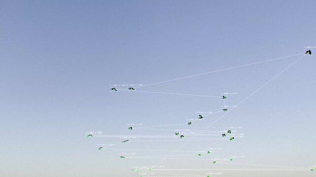 Computer Vision with Object Recognition Scanner Overlay. Big Data. CCTV AI Interface Scanning. Blob Tracking Lines, Coordinates, Bounding Boxes. Plexus style connections. Flying Birds
