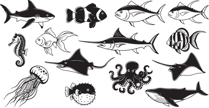 Marine Life Illustrations of Various Ocean Creatures and Fish Species