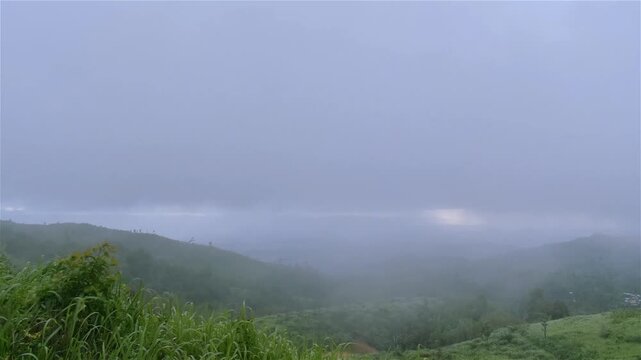 On the top of Keokradong there is a small shelter and a signboard put up by Bangladesh Army proclaiming the elevation to be 967 metres (3,173 ft). Meanwhile the height measured by handheld GPS shows. 