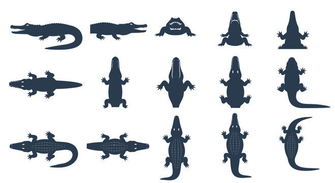 Alligator and Crocodile Silhouette Collection Vector Illustration Set Featuring Various Poses and Top Down Views for Wildlife Design Projects