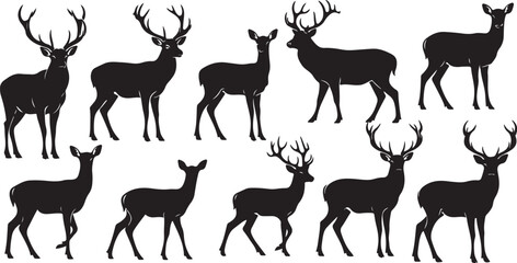 Fototapeta premium Silhouette of deer standing in various poses on white background