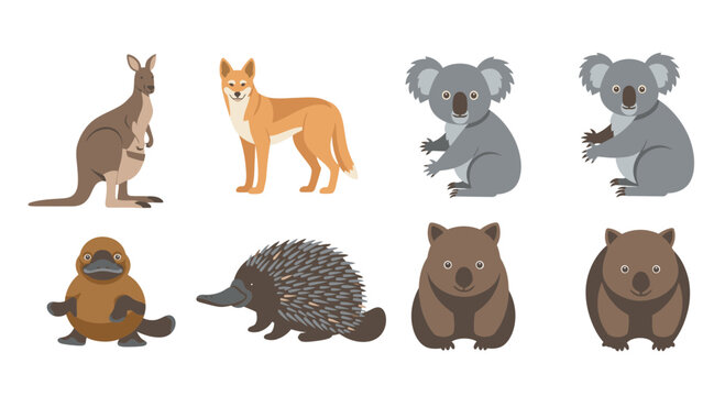 Australian Wildlife Collection Vector Illustration Featuring Kangaroo Dingo Koala Platypus Echidna and Wombat Icons for Educational Design and Nature Projects