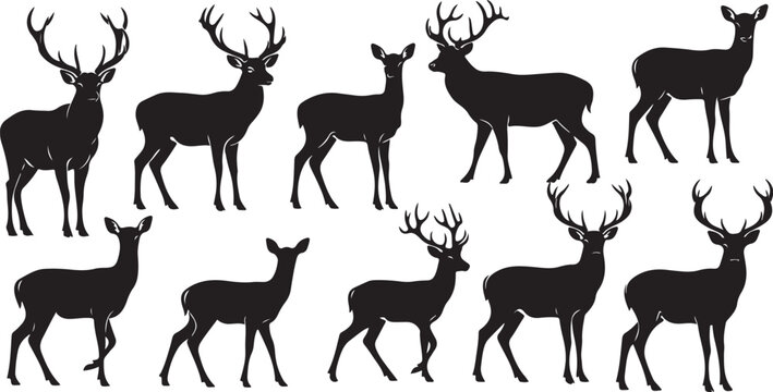 Silhouette of deer standing in various poses on white background