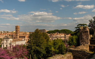 Fototapeta premium Scenic panoramic aerial vista of Forum and Coliseum in Rome in springtime viewed from Palatine Hill, Italy 