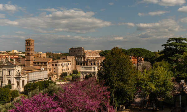 Scenic panoramic aerial vista of Forum and Coliseum in Rome in springtime viewed from Palatine Hill, Italy	