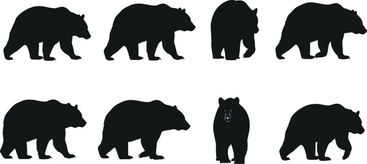 Fototapeta premium Bear Silhouette Collection with Different Walking and Standing Poses Wildlife Animal Vector Set for Nature, Forest, Hunting, and Outdoor Design Use.