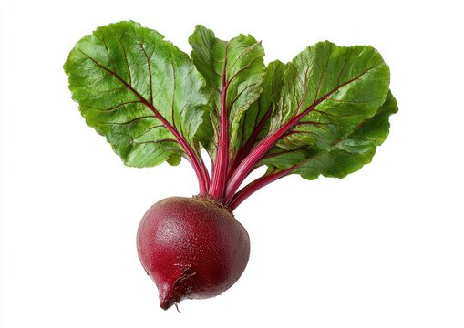 A single, red beet with vibrant green leaves and crimson stems on white