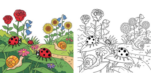 Ladybugs and snails in flower garden coloring page with roses and sunflowers colored and outline vector illustration for kids © MdAbdul