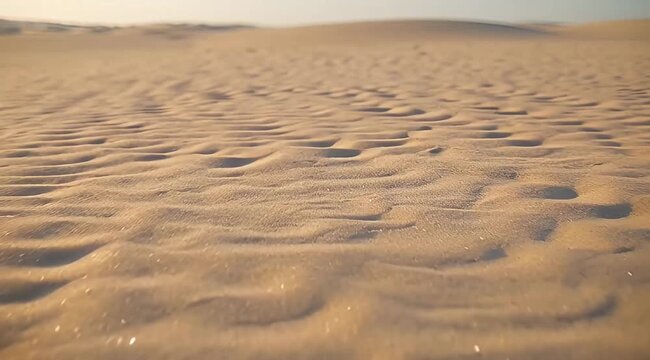 The stunning abstract patterns created by the wind on a vast desert landscape