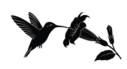 Fototapeta premium Black silhouette of a hummingbird feeding from a flower