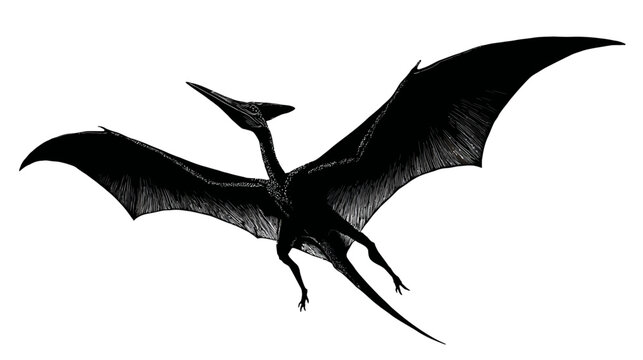Silhouette of a Flying Pterodactyl with Wings Fully Spread in Prehistoric Sky