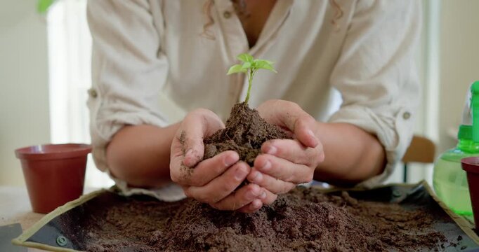 Non-binary person cradling seedling after noticing loose roots, molding soil for potting on tray