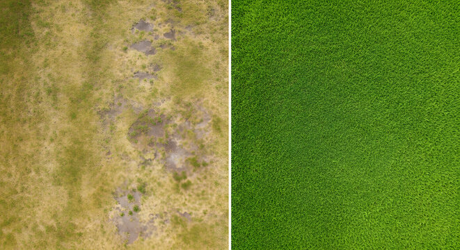 Lawn Care Comparison of Dry Patchy Brown Turf and Lush Vibrant Green Grass | Garden Maintenance Before and After Treatment | Landscaping Improvement and Irrigation Concept | Aerial Top View Image