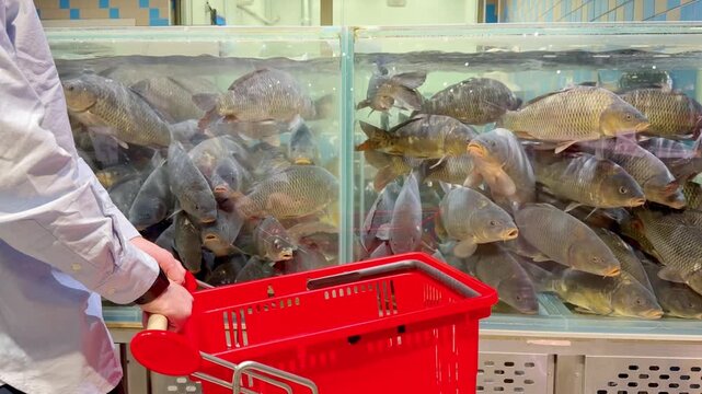 fresh fish  and seafood in supermarket