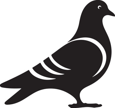 Black Pigeon Silhouette, Bird Icon, Animal Illustration, Wildlife Graphic