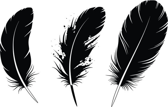 vector set of feathers
