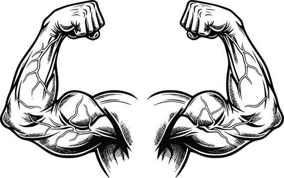 Muscular Arms Flexed Biceps Vector Illustration