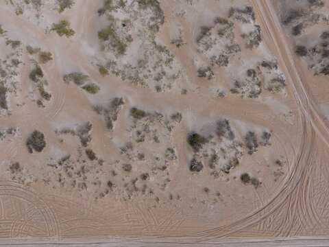 Aerial view of desert terrain with tire tracks and sparse vegetation