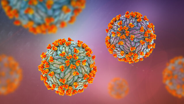 Zika virus complexed with antibodies, 3D illustration