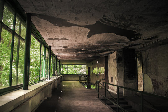 Abandoned interior with large windows and deteriorated ceiling. Urban decay and architecture concept with natural light entering from surrounding forest.