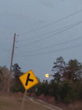 Moon behind the trees with a road sign