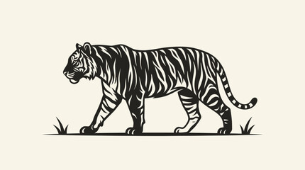 Obraz premium Black and white tiger walking alone.