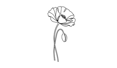 Minimalist poppy one line drawing vector with continuous outline flower in elegant simple style © MdShakil