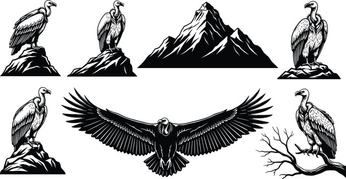 Hand drawn vintage style vulture and condor bird silhouettes perched on rocks and flying with mountain peaks for wilderness adventure logos.