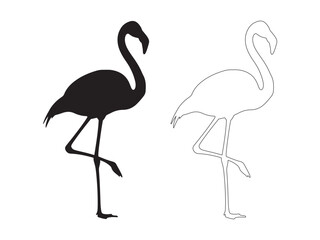 Obraz premium Silhouette and outline illustration of a flamingo with flamingo wildlife tropical silhouette