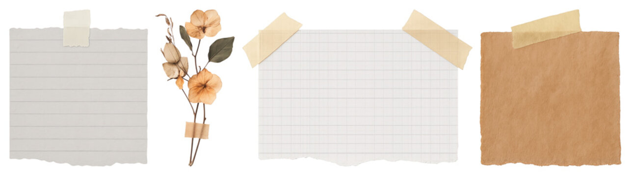 PNG Vintage paper with floral accents on transparent background