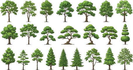 Fototapeta premium Set of various trees vector illustration. Different types of deciduous and coniferous trees icons for landscape design.