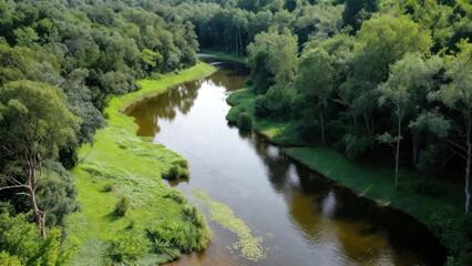 Fototapeta premium Lush green trees line calm riverbanks