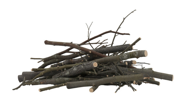 A pile of cut branches and twigs isolated on transparent background for firewood or kindling