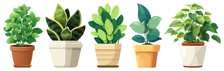 Naklejka premium PNG Vibrant potted plants illustration on transparent background