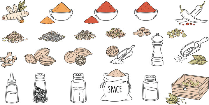 Colorful spices and seasoning icons vector featuring turmeric chili pepper and cardamom for culinary recipe design