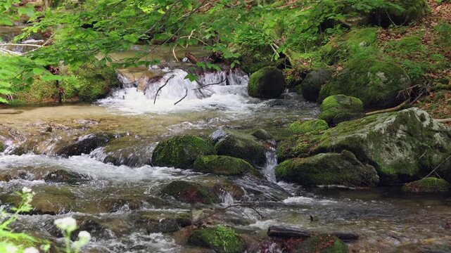 Forest stream with flowing water and moss-covered stones. Clear water flows over mossy rocks in a forest stream. Green foliage frames the rushing current. Nature's peaceful sounds fill the scene.