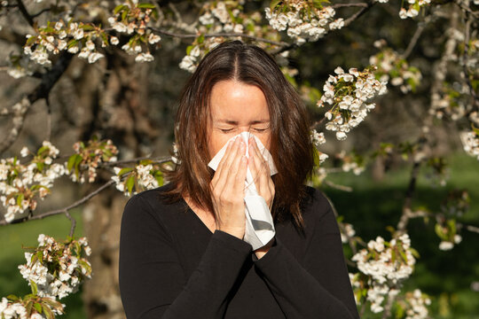 Woman sneezing into a tissue in a blooming orchard during spring. Pollen allergy or hay fever concept.