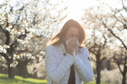 Woman sneezing into a tissue in a blooming orchard during spring. Pollen allergy or hay fever concept.