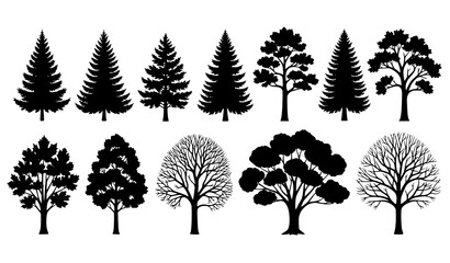 Tree silhouette vector set with coniferous evergreen and deciduous forest trees © Boloram