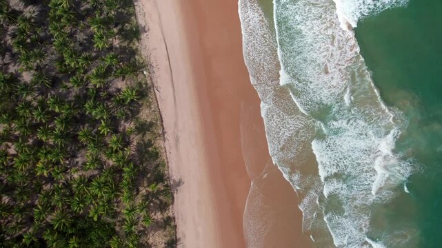 Taipu de Fora, Bahia, Brazil - 9 April 2026: Aerial view of a tropical beach, calm, nature