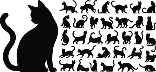 Black cat silhouettes feline © MSTHUSNEWARA
