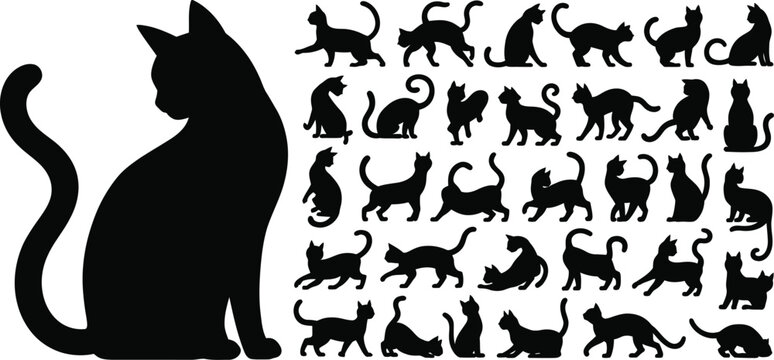Black cat silhouettes feline