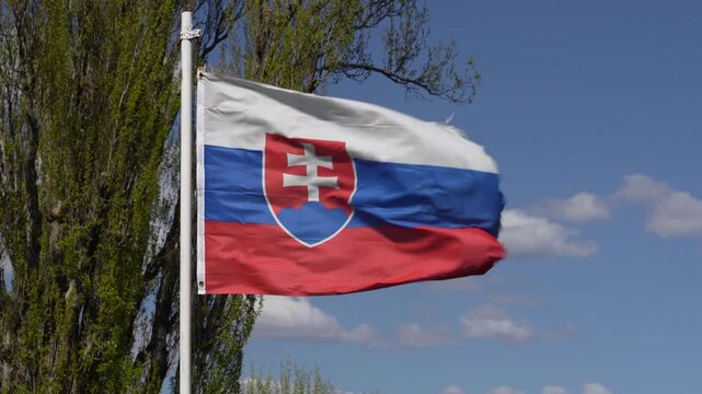 Slovakian flag waving in strong wind against blue sky and trees background, 4K.High-quality 4K footage of the national flag of Slovakia blowing dynamically in a strong breeze. The scene features a cle
