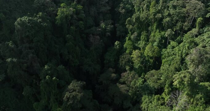 Aerial footageof beautiful tropical forest mountain landscape  