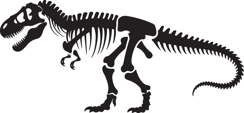 T rex dinosaur skeleton negative space silhouette vector illustration with out background