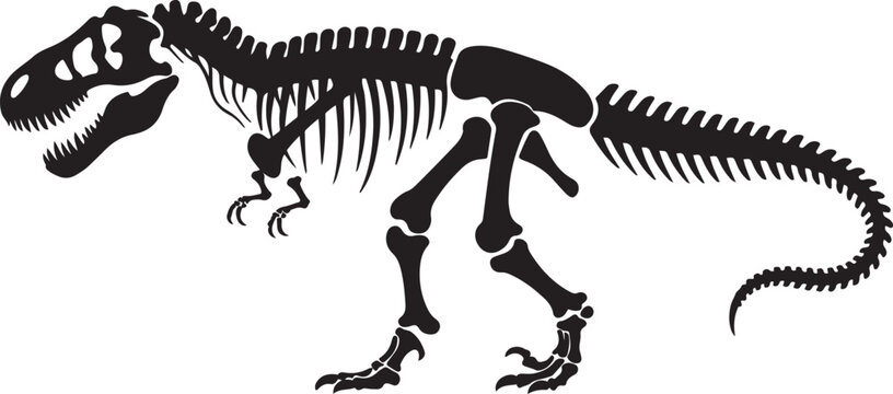 T rex dinosaur skeleton negative space silhouette vector illustration with out background