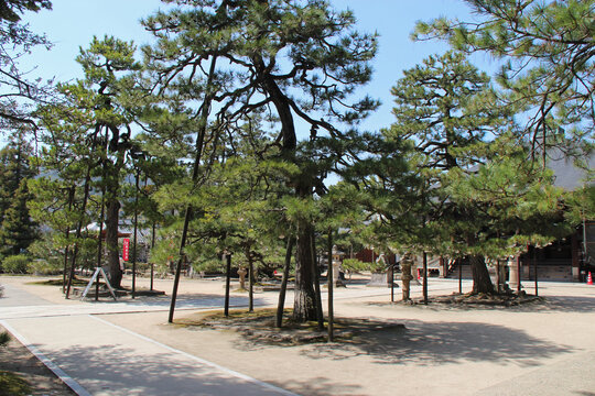 in the gardens of a buddhist temple (chion-ji) in amanohashidate in japan