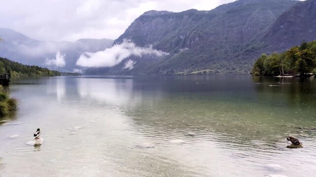 lake bohinj with mountains background (aerial view of famous alpine travel destination in slovenia) boat kayaking scenic european tourism getaway (julian alps, europe) rain view scenic landscape