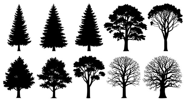 Forest tree silhouettes vector collection with pine fir and deciduous trees